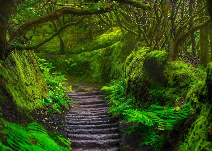 La Casita De Mi Alma - Haus Meiner Seele Apartamento *